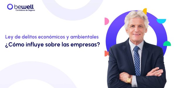 bewley delitos economicos